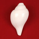 Shankha Conch Shell: Hindu Buddhist Ritual Altar Decor