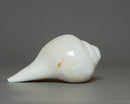 Shankha Conch Shell: Hindu Buddhist Ritual Altar Decor