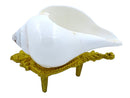 Shankha Conch Shell: Hindu Buddhist Ritual Altar Decor