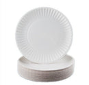 Paper Plates	S 15pcs