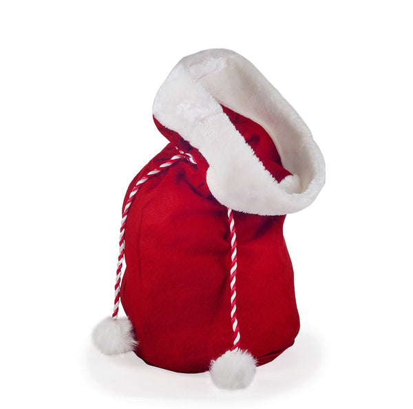 Gift Bag Santa L