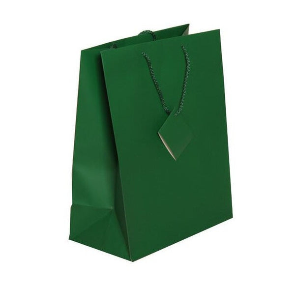 Gift Bag Seasonal Green L