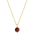 Gold Plated Locket Rudraksha